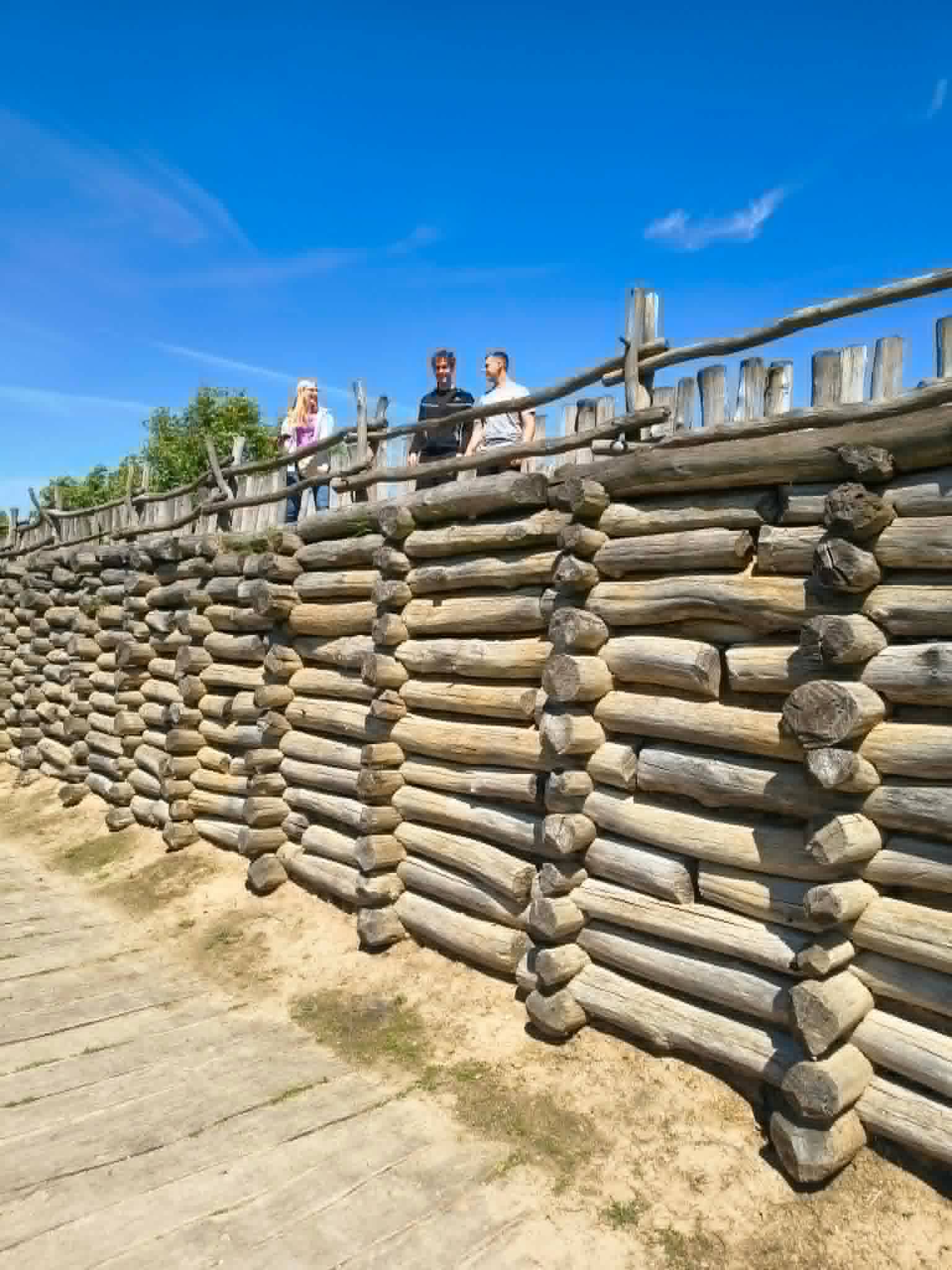 zdjęcie w galerii