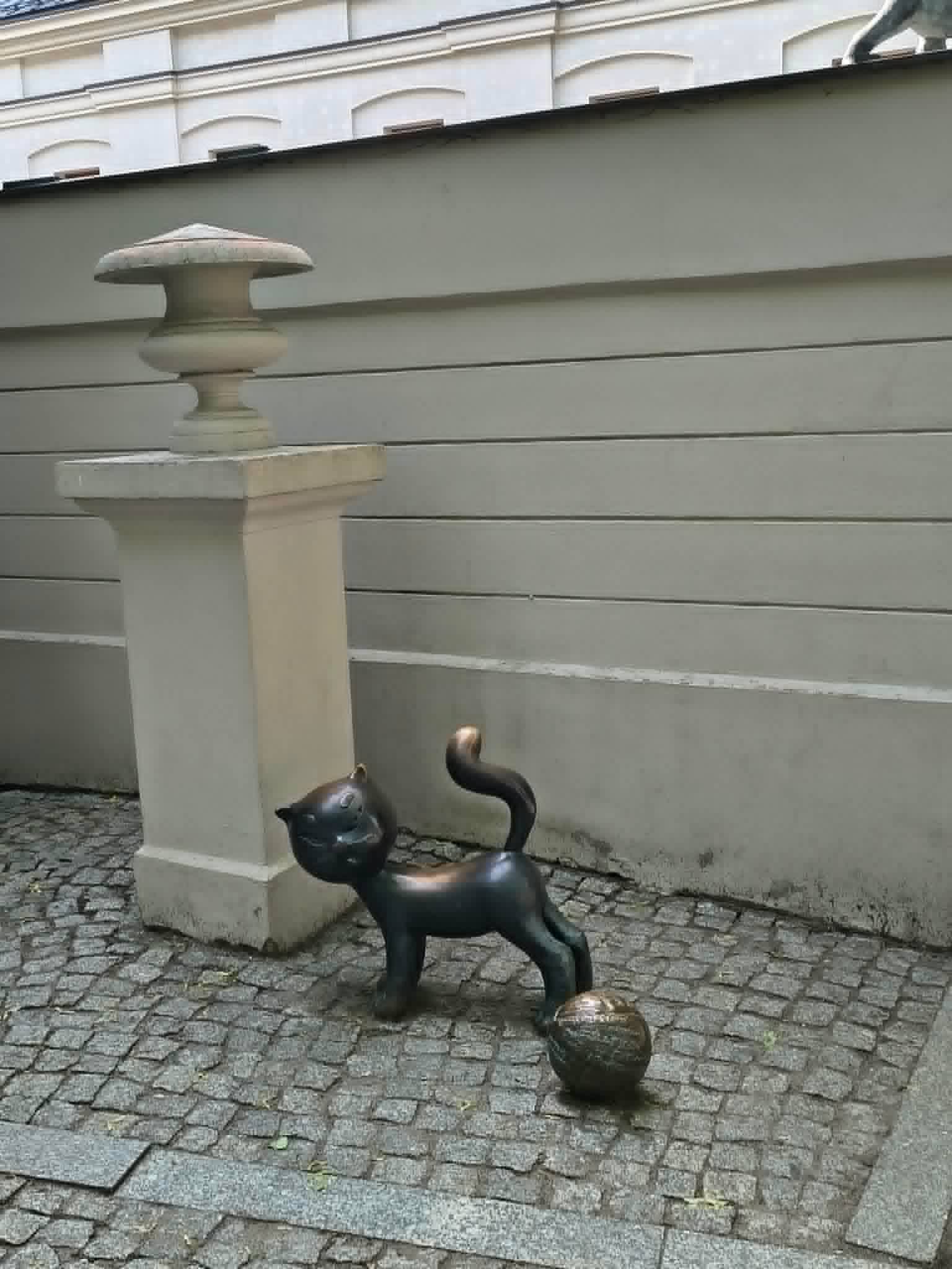 zdjęcie w galerii