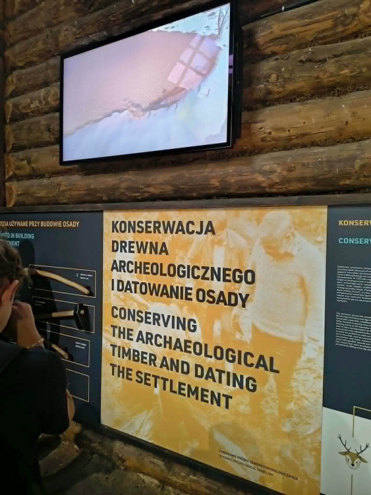 zdjęcie w galerii