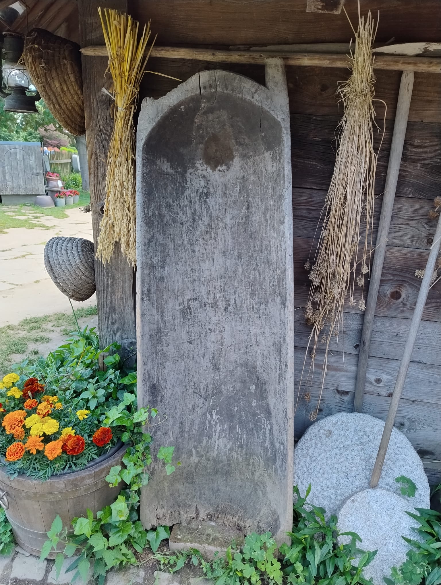 zdjęcie w galerii
