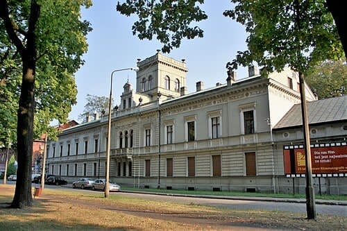 zdjęcie w galerii