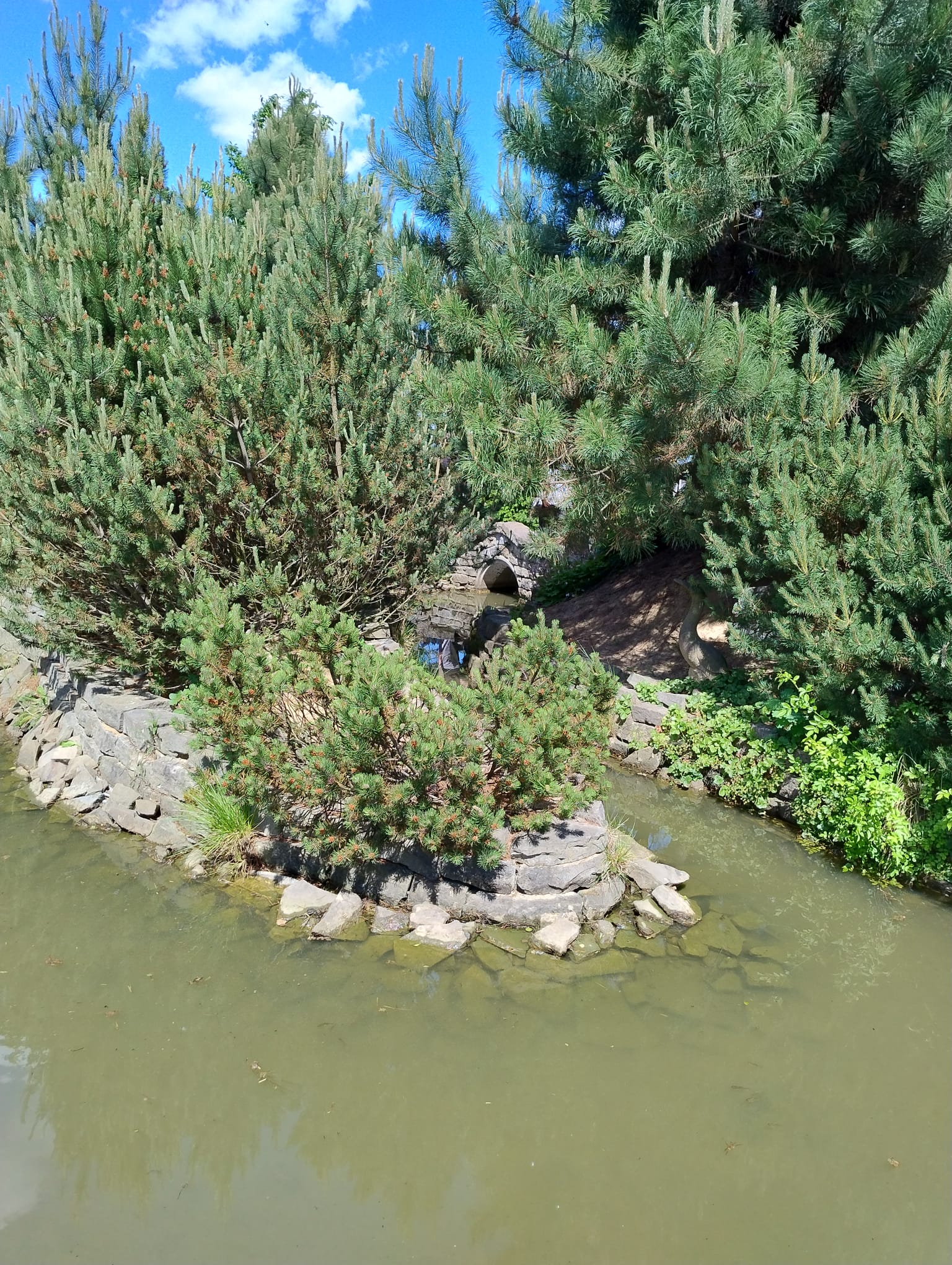 zdjęcie w galerii