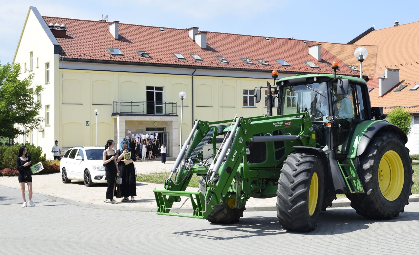 zdjęcie w galerii