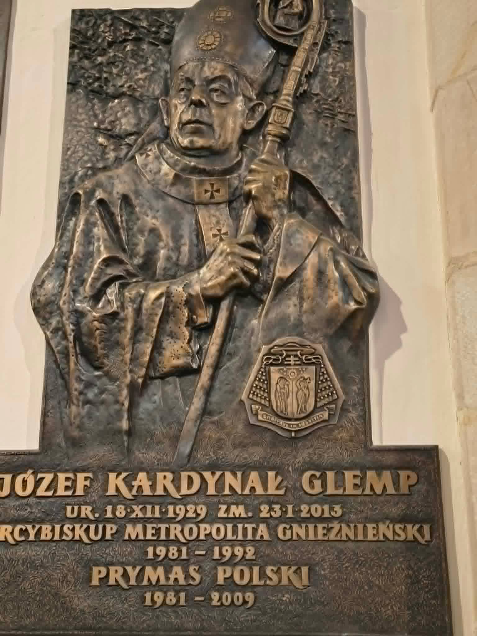 zdjęcie w galerii