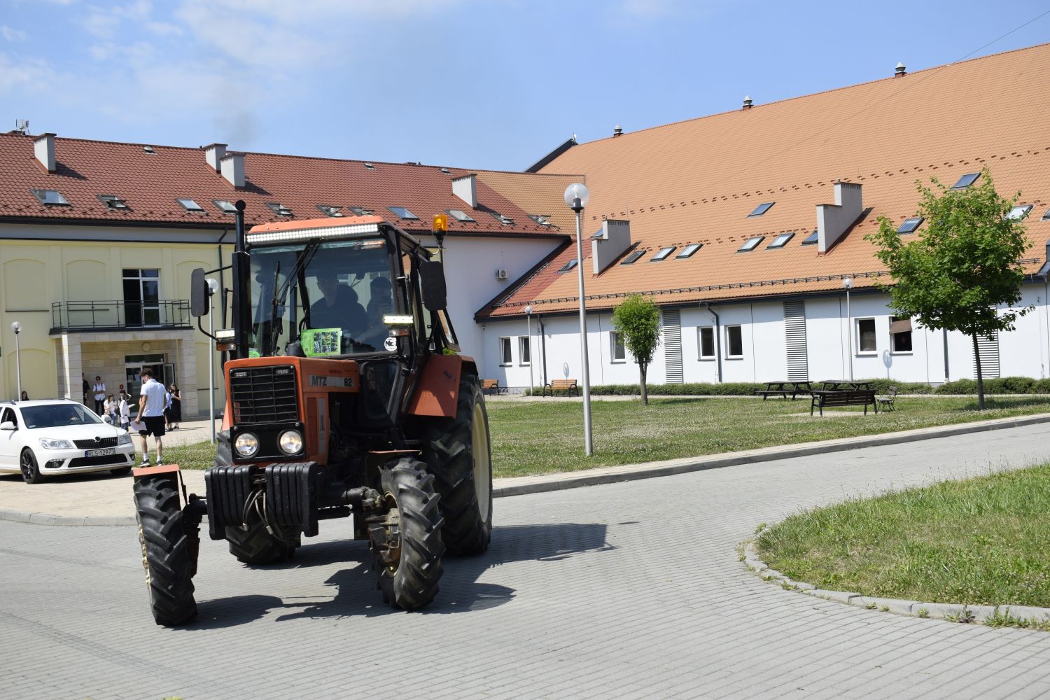 zdjęcie w galerii
