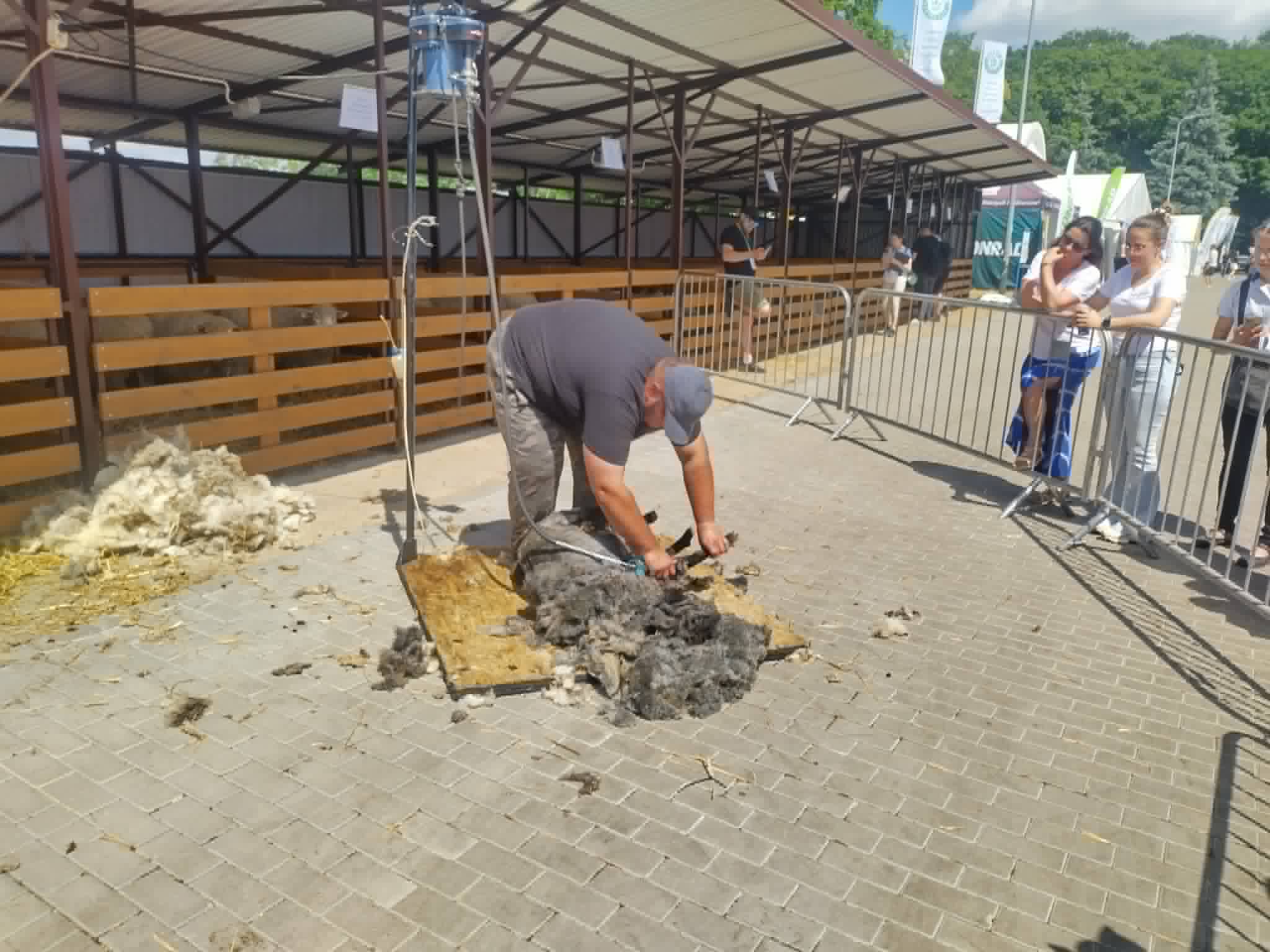zdjęcie w galerii