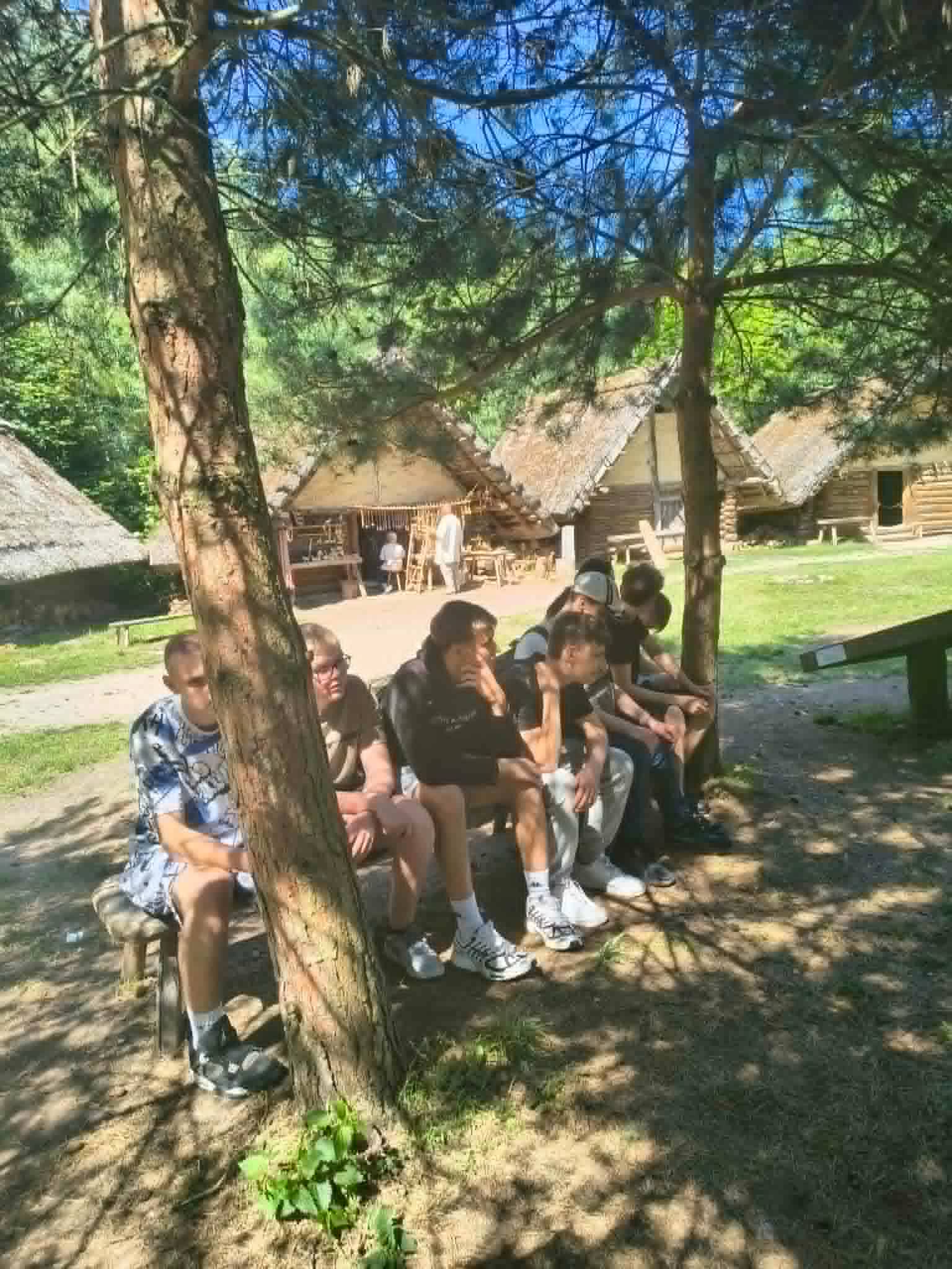 zdjęcie w galerii