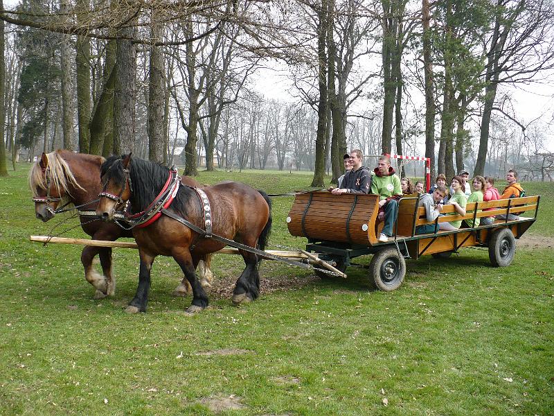 Praktyka w siodle