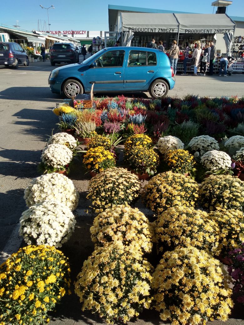 wycieczka 17.10.2019 1 BTH, 2 L4H i 1 L4H