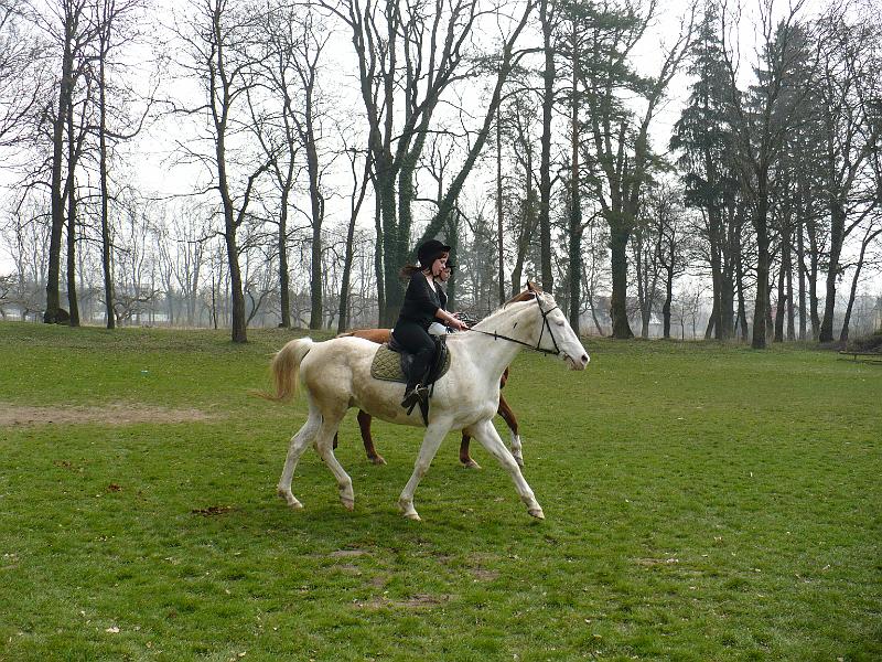 Praktyka w siodle