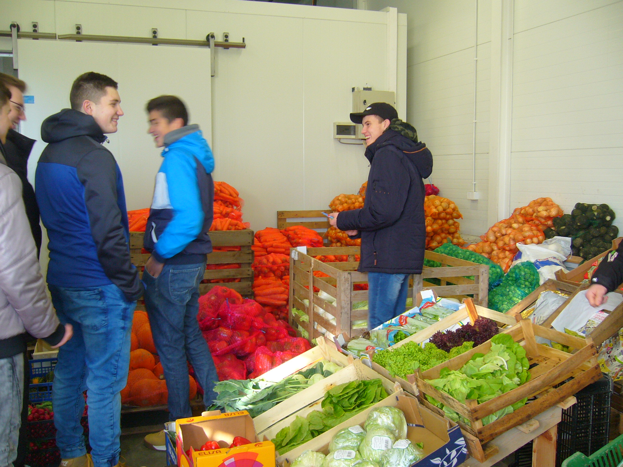 Zajęcia praktyczne 2017- wycieczka edukacyjna do Podkarpackiego Centrum Hurtowego AGROHURT; dekoracje jesienne